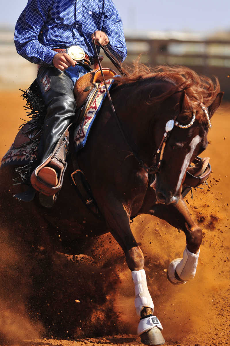 马掉进沙坑的瞬间