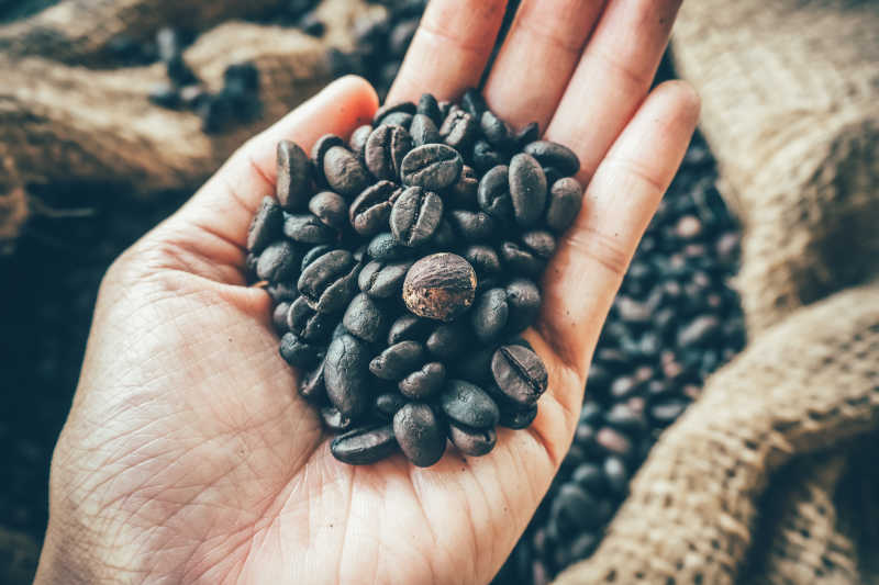 烘焙成功的咖啡豆