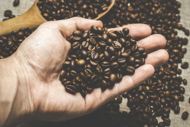 筛选咖啡豆的手