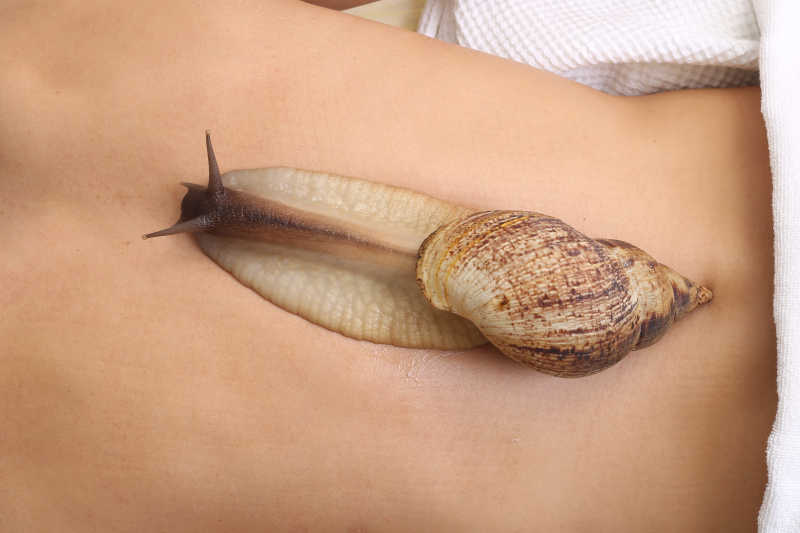 做蜗牛清洁美容的美女背部