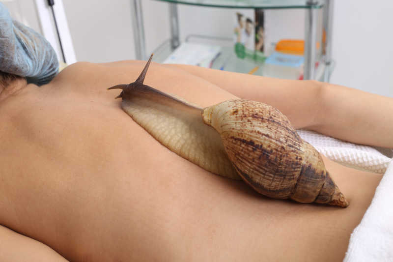 在美容院进行蜗牛皮肤清洁的美女背部