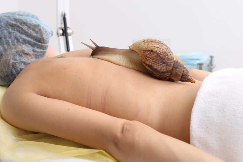 趴在床上做蜗牛清洁美容的美女