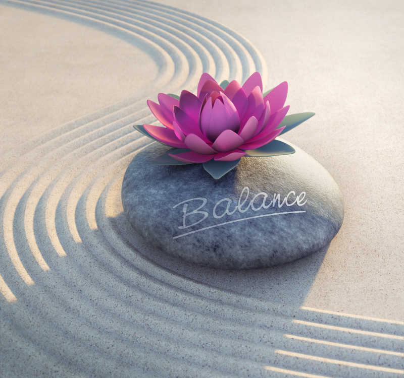 长在石头上的一朵莲花