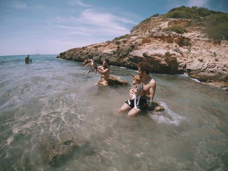 在水里游泳的人和狗