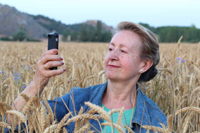 中老年人在麦田里拿着手机