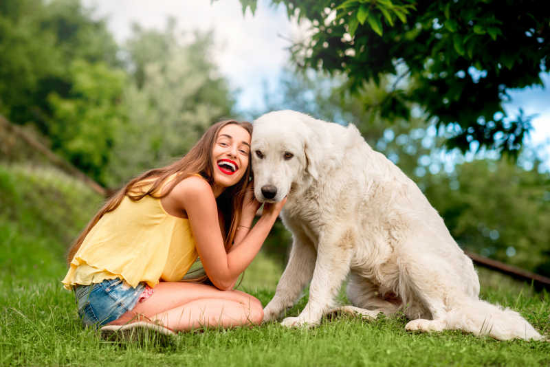 快乐的女孩与温顺的意大利牧羊犬