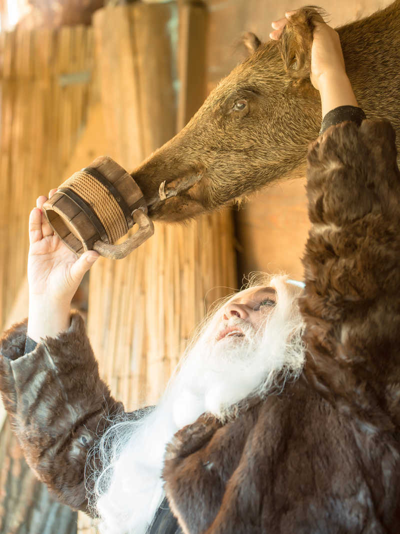 抚摸着野猪头部的德鲁伊老人