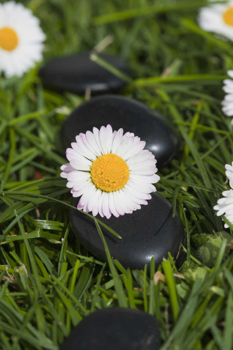 草坪上的黑色温泉石