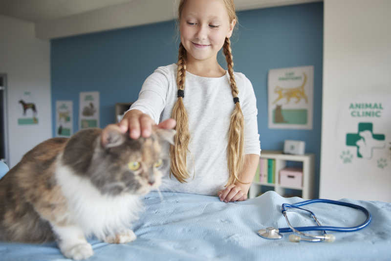 女孩在兽医面前惊吓她的猫