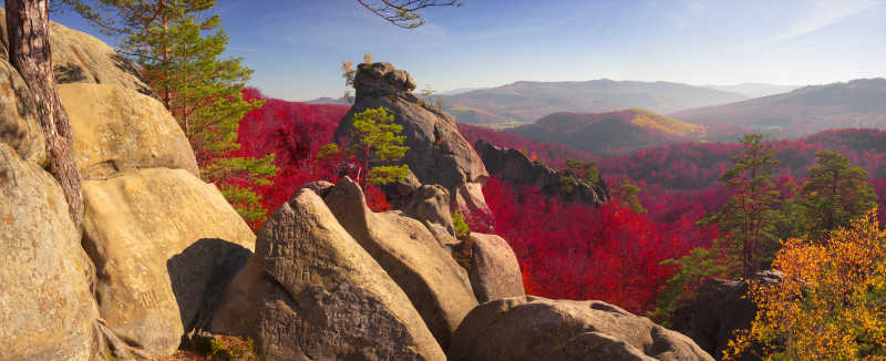 秋季森林岩石自然风景