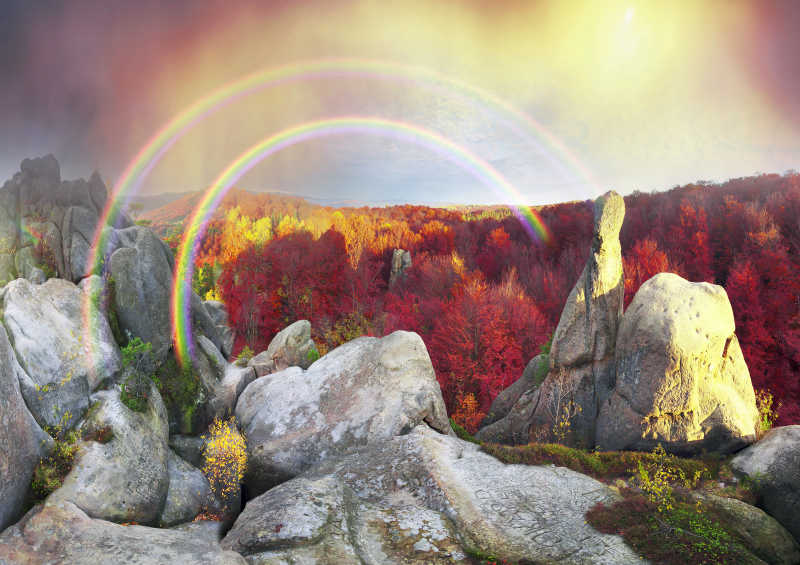 美丽的彩虹和森林中的岩石