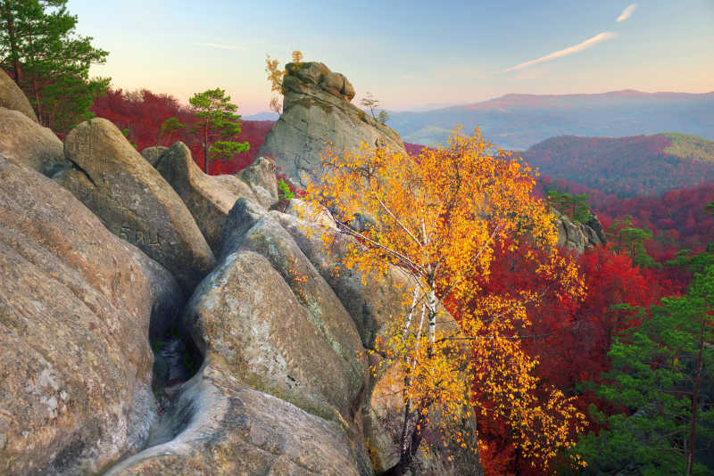 美丽的秋季森林岩石自然风景