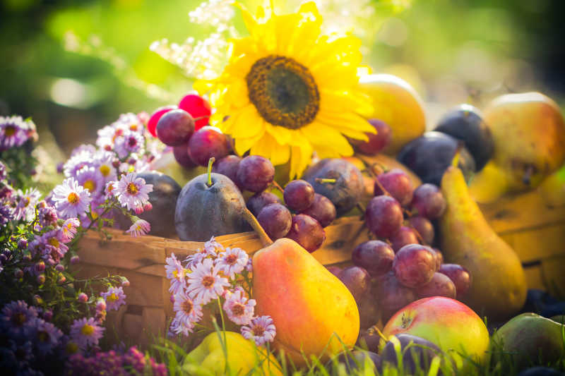 秋季收获的水果