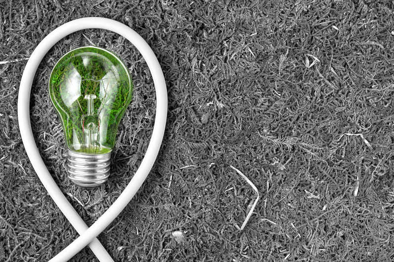 草地上的节能电灯