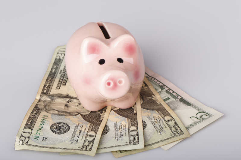 美元纸币上的粉色小猪存钱罐