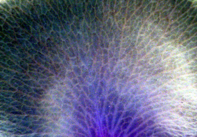 破碎的抽象紫色纹理背景