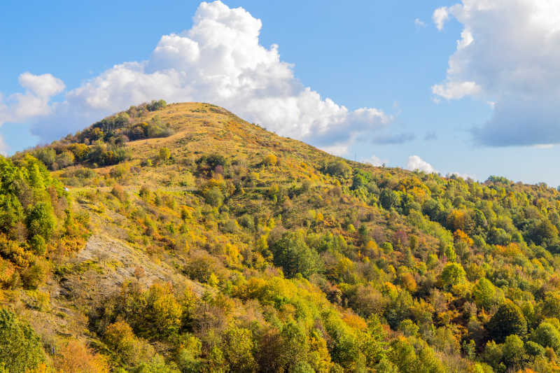 美麗的大自然山林風景