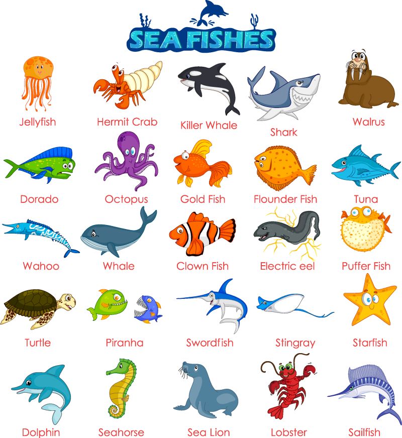 矢量的海洋生物插画图片 卡通海洋生物矢量插画素材 高清图片 摄影照片 寻图免费打包下载