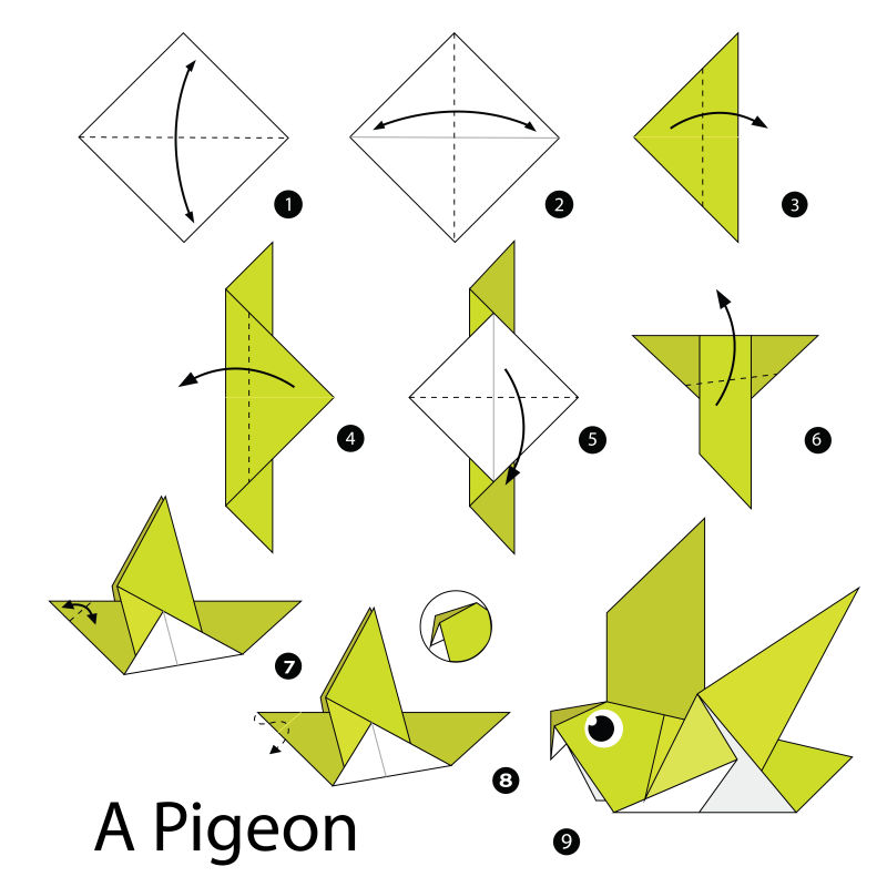 矢量折纸鸽子的步骤图解