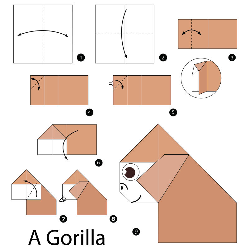 矢量折纸海狮的步骤图解