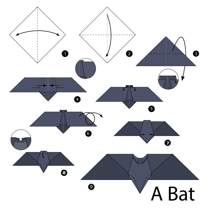 矢量折纸蝙蝠的步骤图解