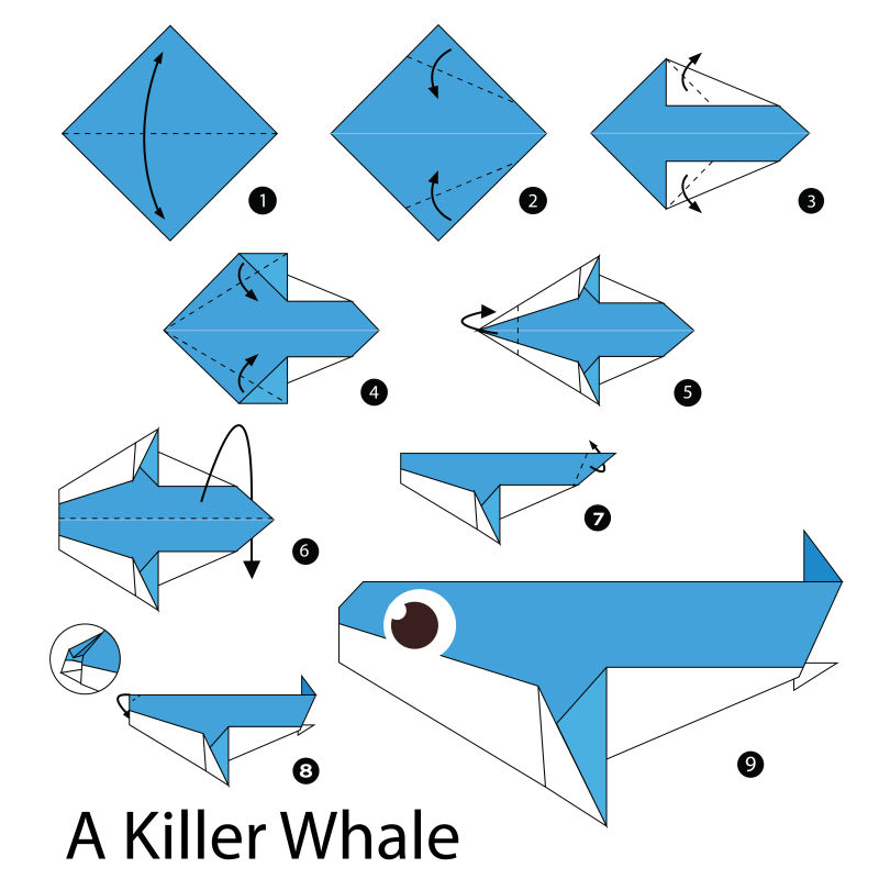 虎鲸的折法图片