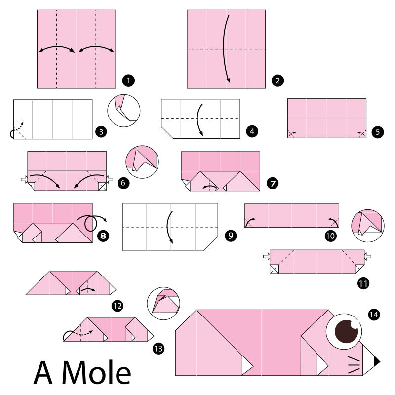 老鼠的折法图片
