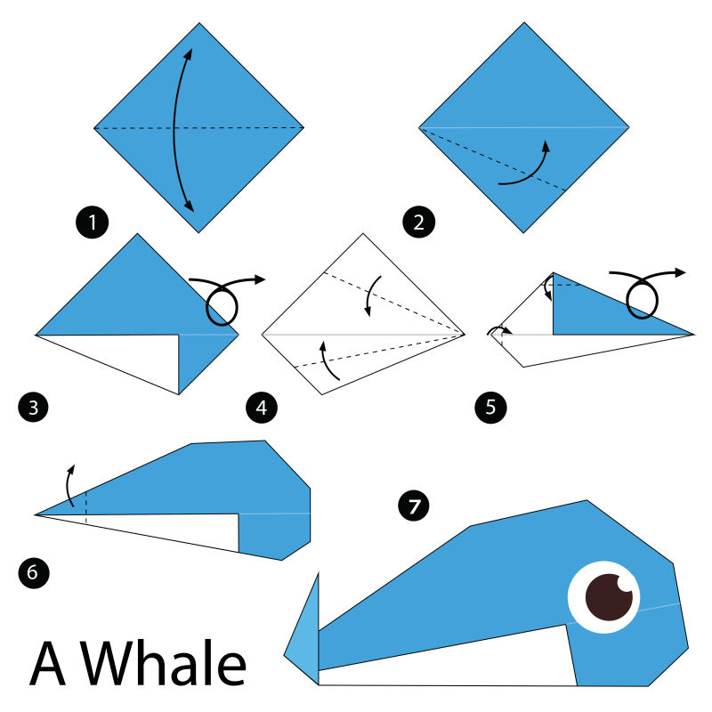 怎么折一只立体的鲸鱼图片