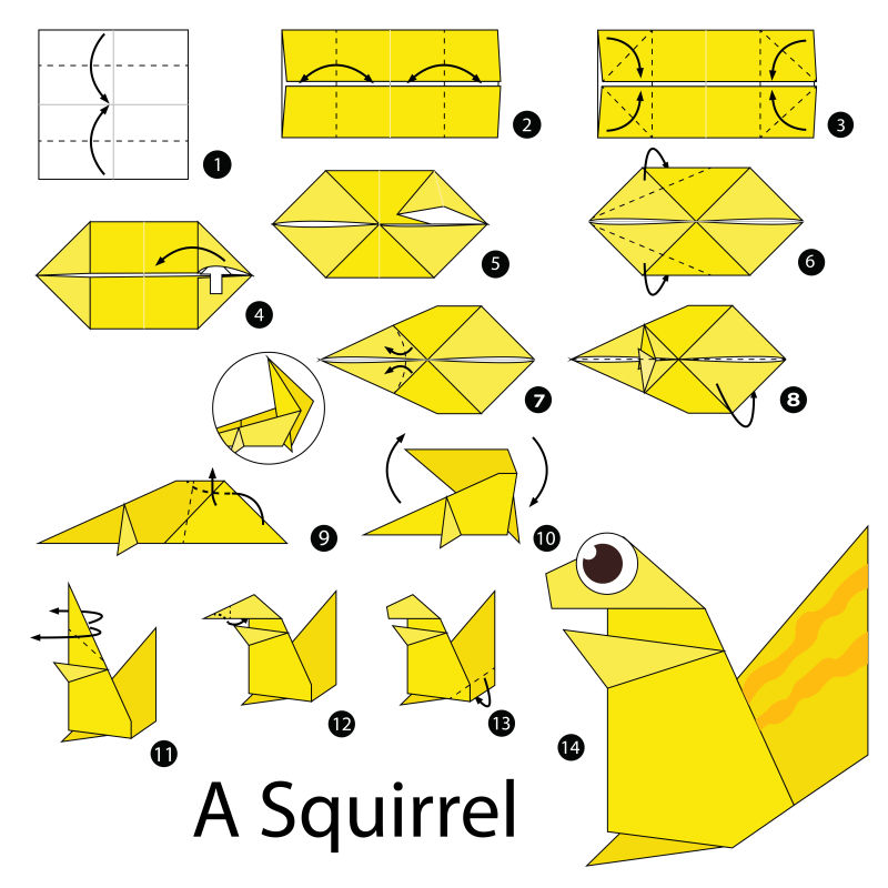 小松鼠的折法图片