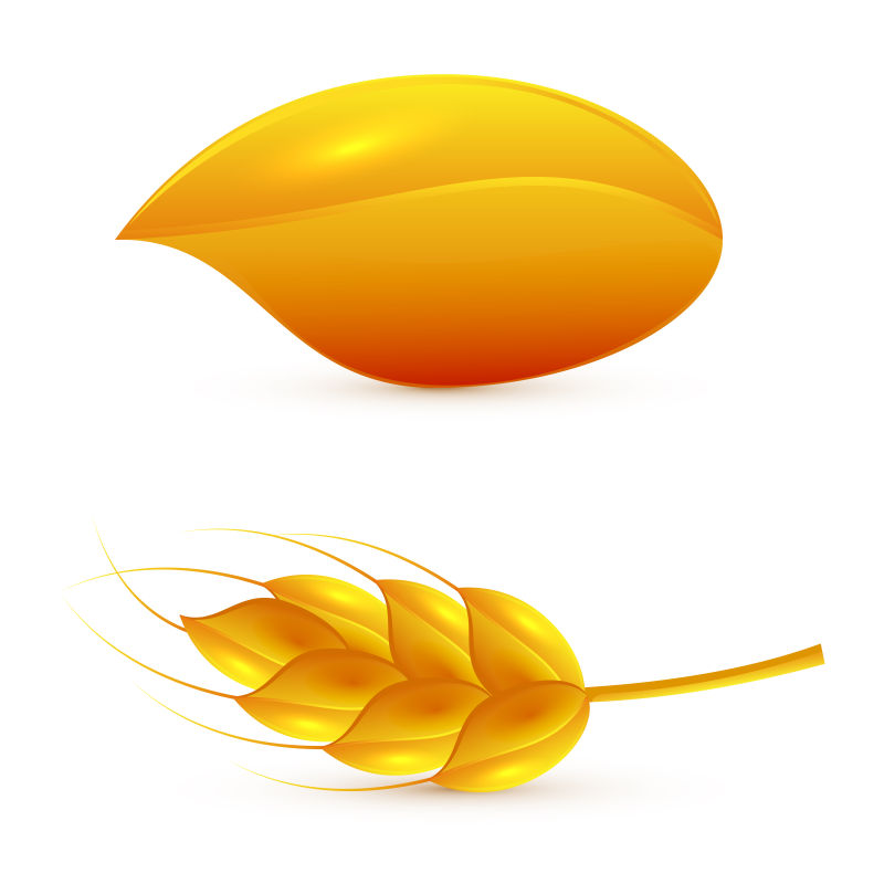 金色的小麦矢量插画