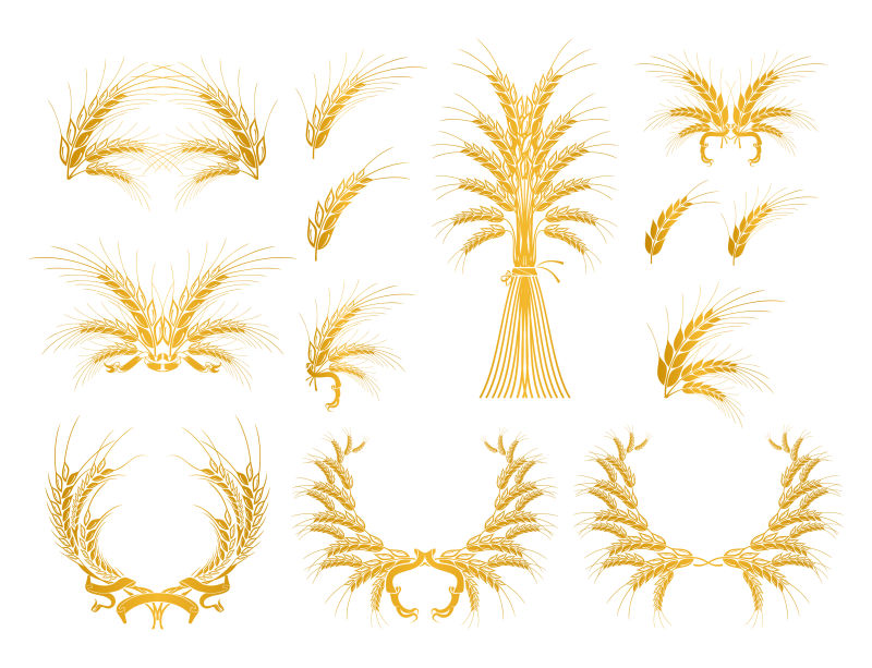 金色麦穗组成的矢量边框