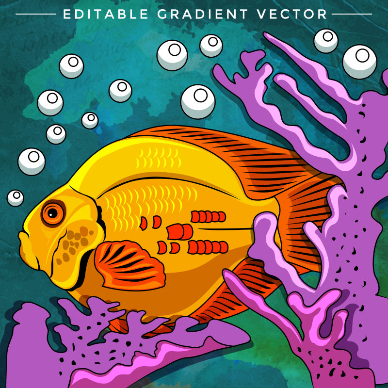 矢量的海底鱼类