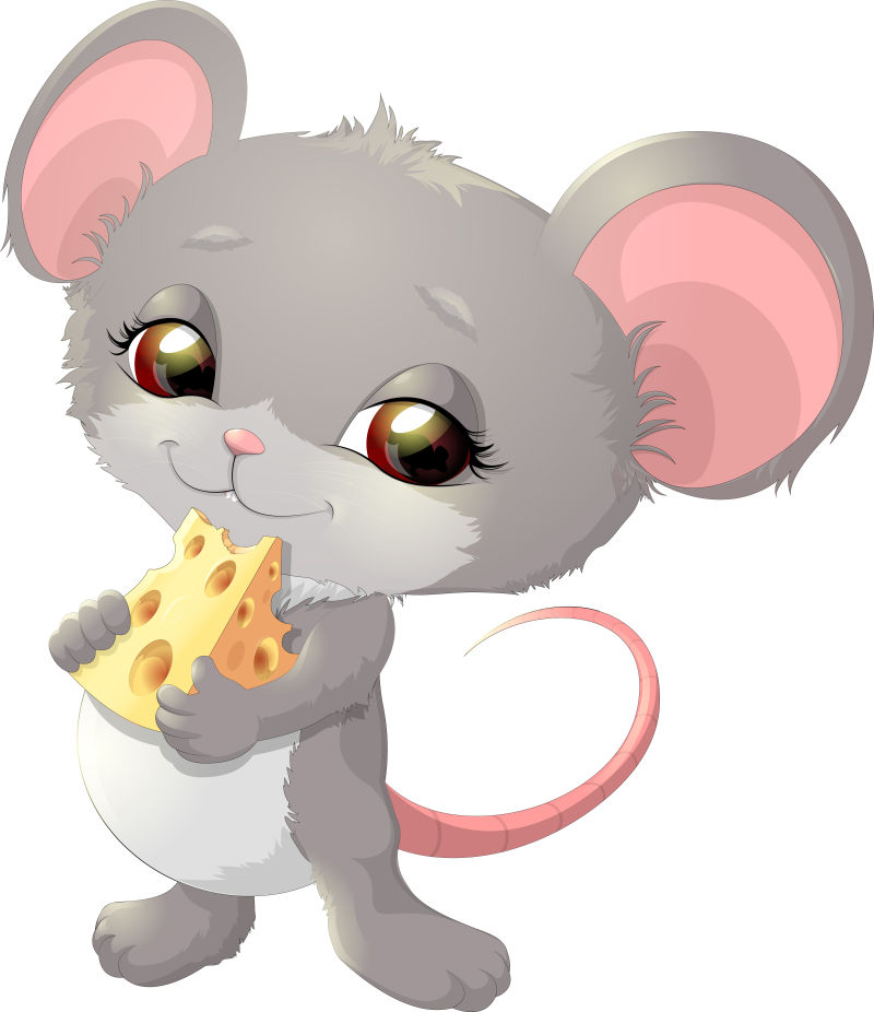 矢量卡通吃奶酪的老鼠插图