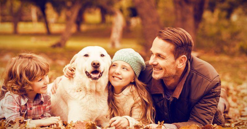 公园和狗狗共度欢乐时光的家庭