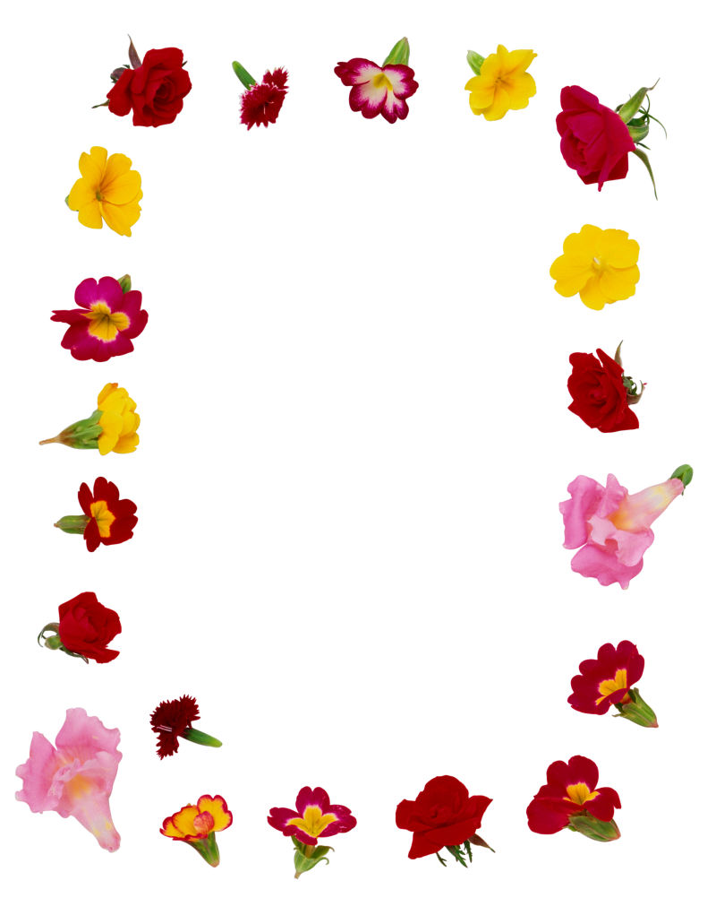 白色背景下的美丽花环