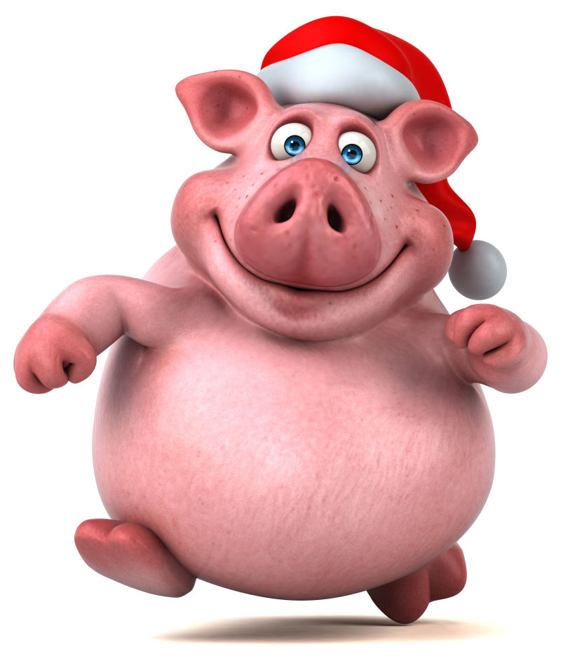 带圣诞帽的猪