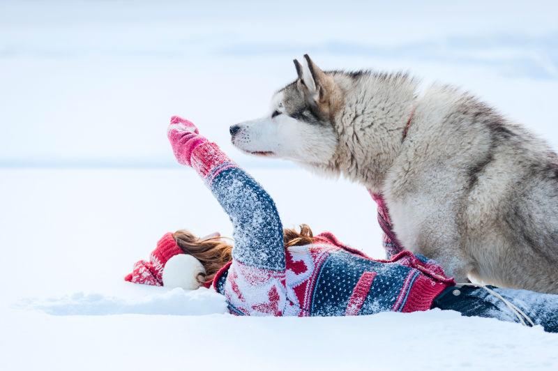 躺在雪地里的小女孩和哈士奇