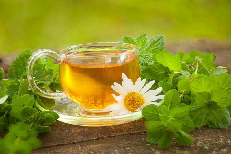 木桌上绿色植物围绕的盛满茶水的茶杯