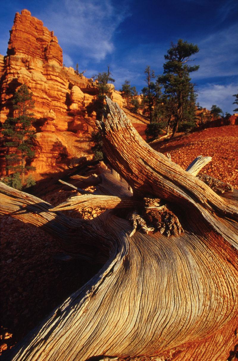 犹他沙漠中的风暴云