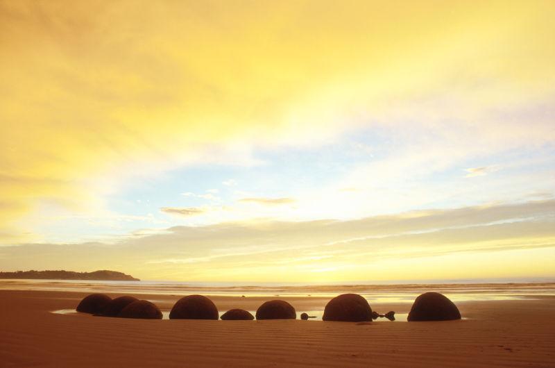 羊在斯洛文尼亚的山上享受美丽的日落