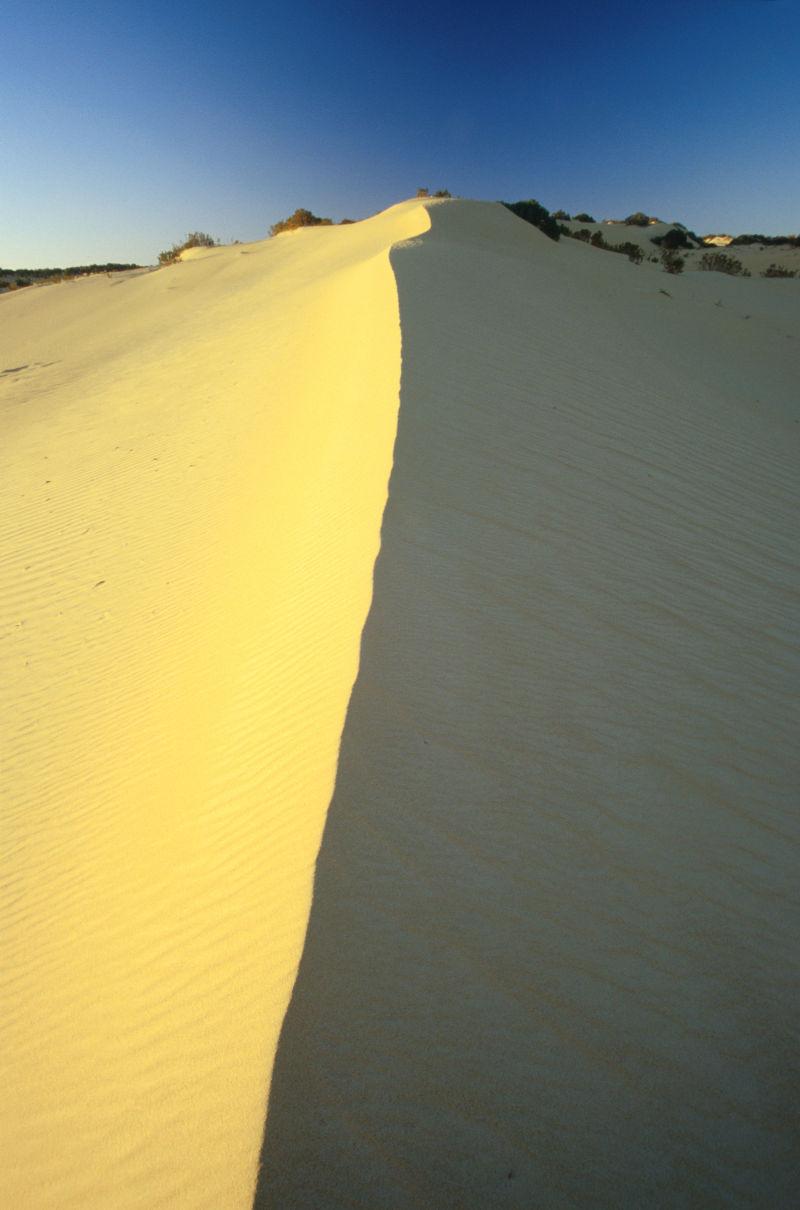 加那利群岛南部沙丘
