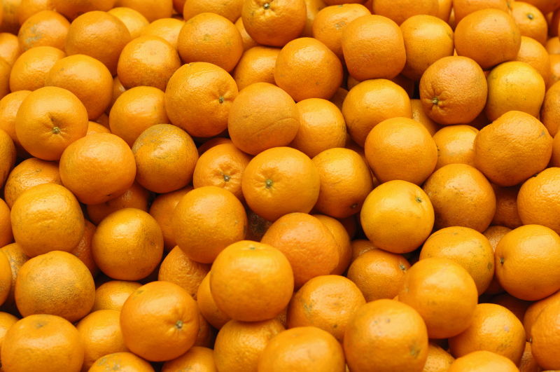 小橘子真实图片