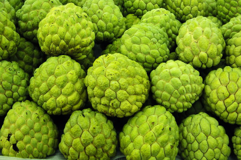 番荔枝