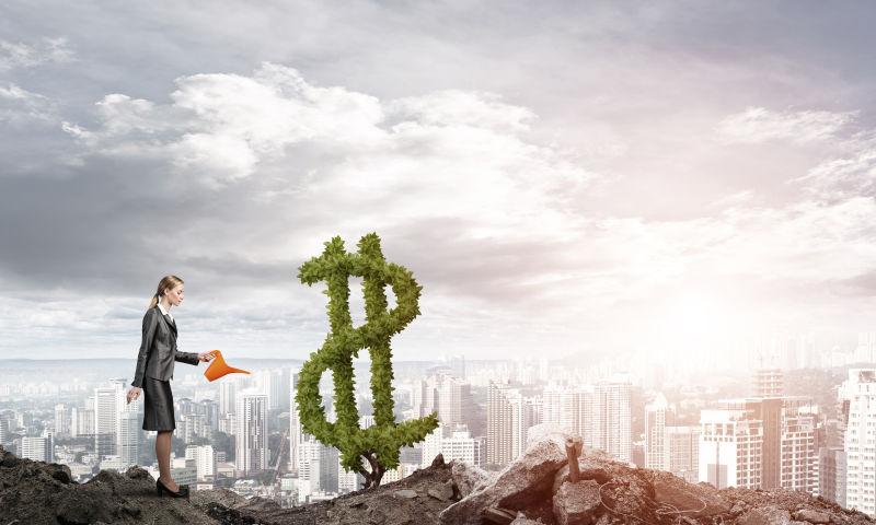 年轻的女商人拿着水壶浇植物增长的概念