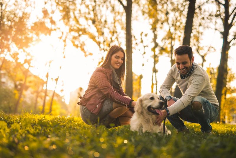 草地上的情侣和狗玩耍