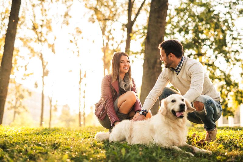 幸福的夫妇和狗共度时光
