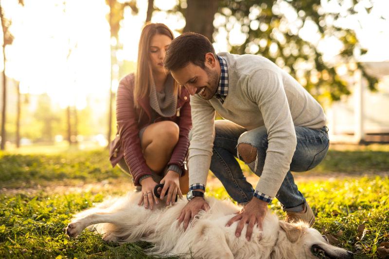 公园草地上和狗玩耍的情侣