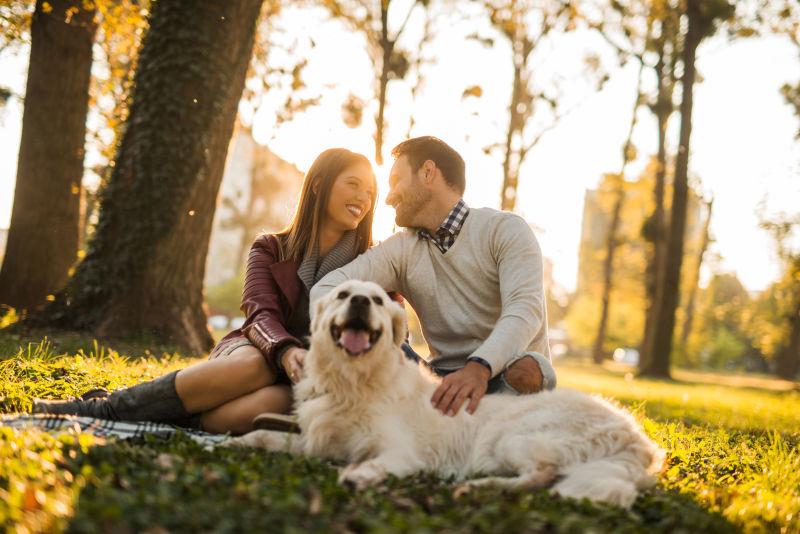 公园里草地上的情侣和狗