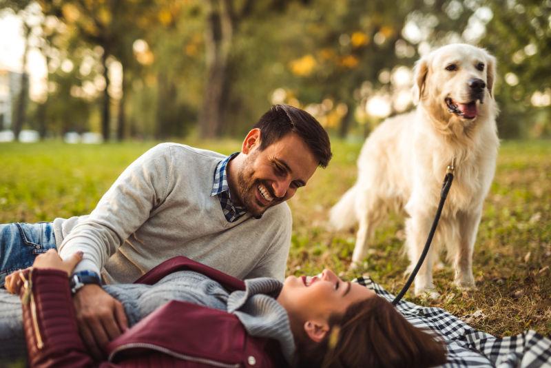 快乐的情侣在公园和狗分享浪漫的时刻