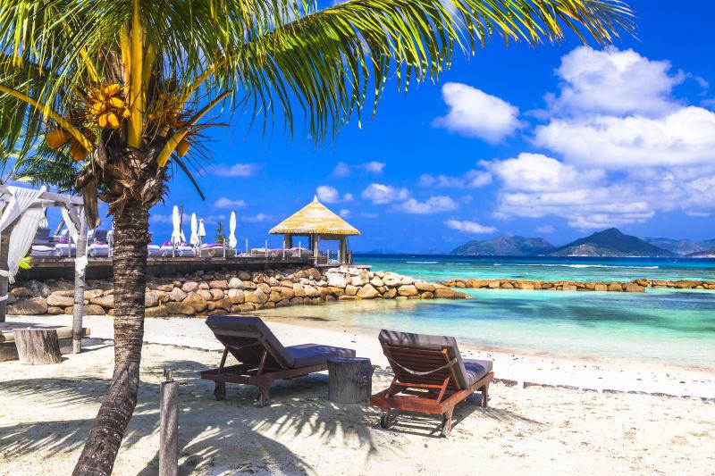 塞舌尔群岛海滩上的椰树和休闲躺椅
